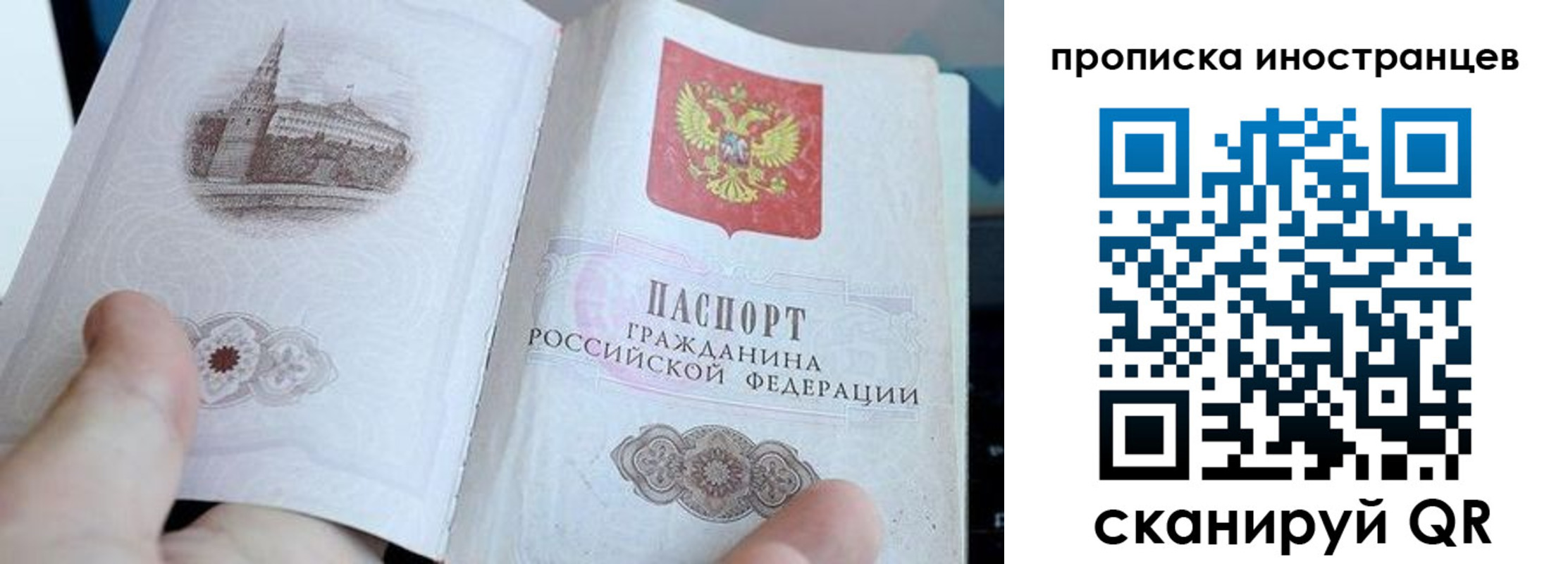 прописка поиск в Архангельской области
